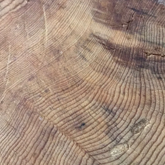 Meet your Posher, Liz - Picture 1 of 1